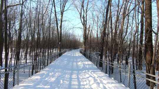 被雪覆盖的森林的跟踪拍摄