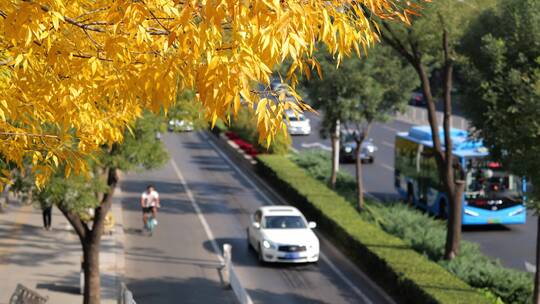 秋天城市马路车流