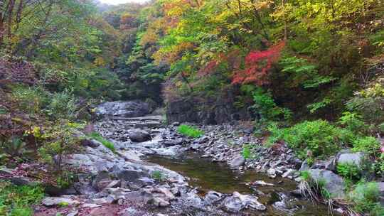 航拍辽宁抚顺筐子沟秋天风景