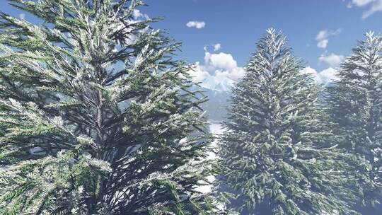 风雪过后冰雪融化