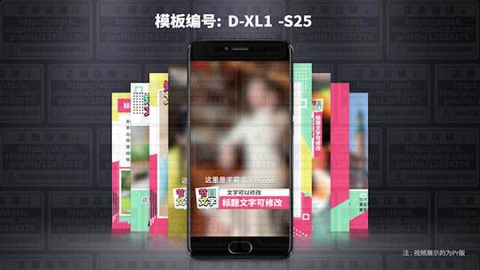 9件套视频包装模板 D-XL1-S25