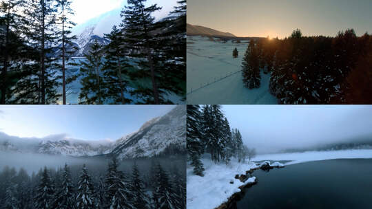 航拍冬季湖泊雪山森林云雾