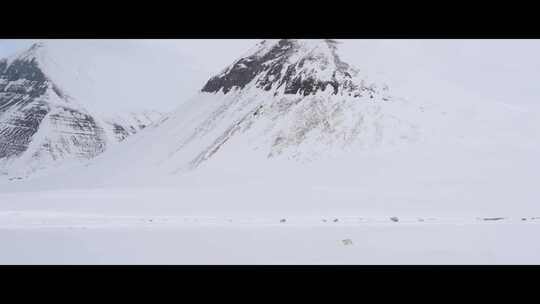 无人机航拍北极冰山冰川北极熊冰盖冰架冰原