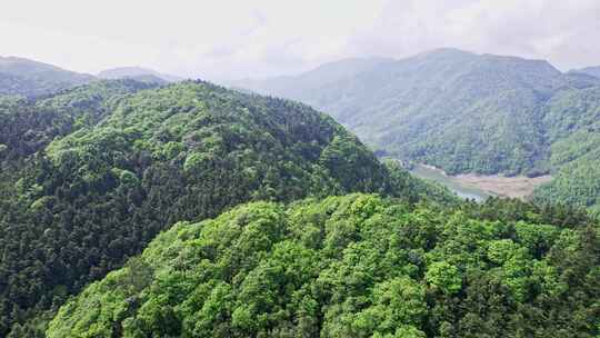 航拍森林青山山脉自然风光