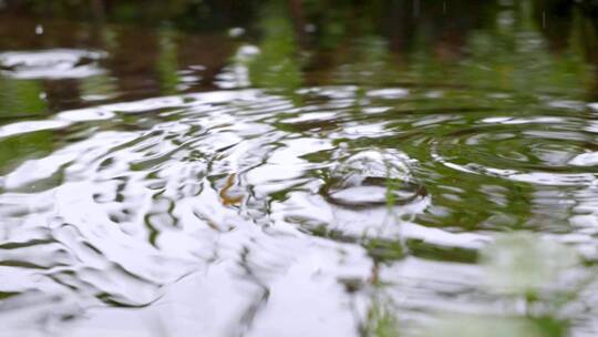 雨中水面唯美的波纹视频素材模板下载