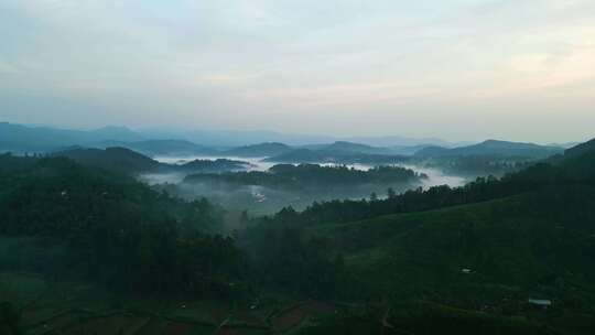 斯里兰卡，旅游，锡兰，雨林