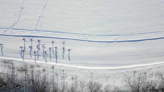 经典滑雪比赛空中领导小组的航拍