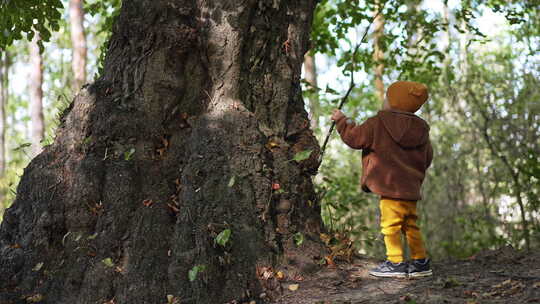 戴着黄色帽子、裤子和棕色夹克的男婴在公园视频素材模板下载