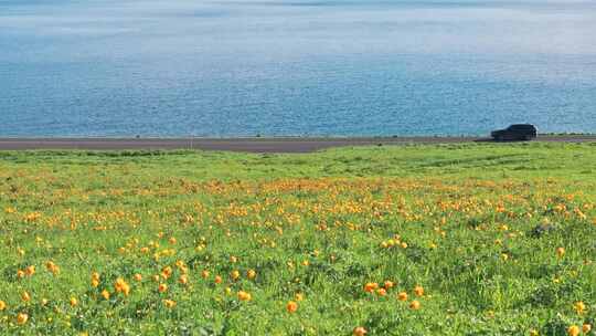 赛里木湖山川湖泊自然风光