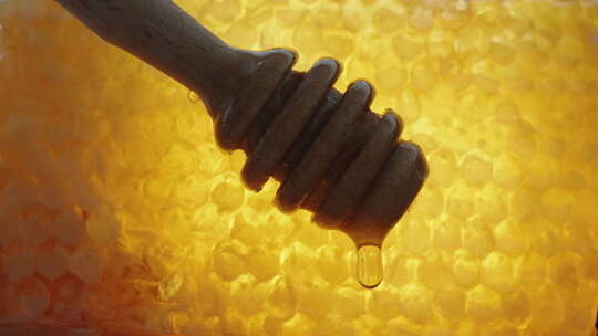 蜂蜜从木勺上滴下来，背景是金色的蜂窝。