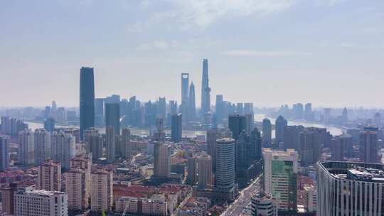 上海市。晴天的陆家嘴城市天际线。中国。鸟