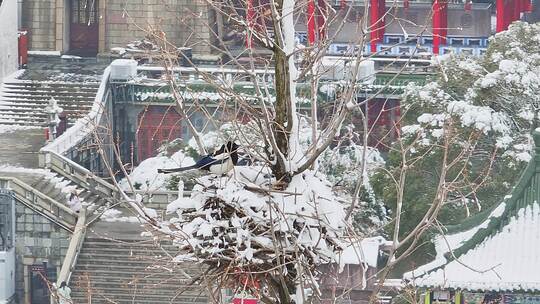 南昌滕王阁雪景2