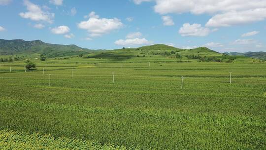 航拍山区梯田改造