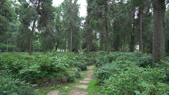 武汉中国科学院武汉植物园