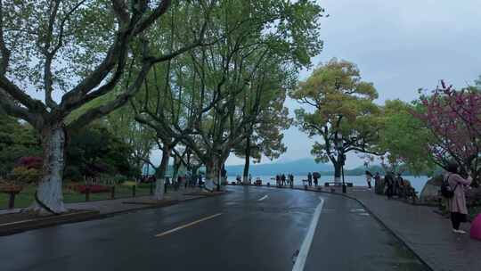 杭州西湖烟雨 地面镜头