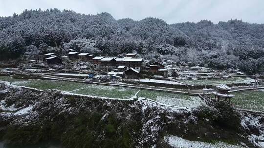 fpv穿越机航拍森林雾凇雪景溪流自然树林