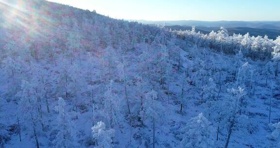 内蒙古大兴安岭冰雪雾凇 童话世界