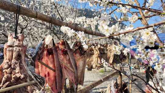 中国广东省广州市从化区广州流溪梅花节