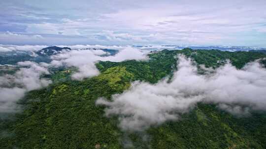 云海 潮州桑浦山 雾气 航拍中国山水