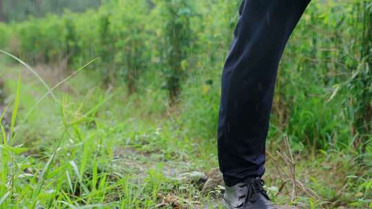 下雨天田间行走