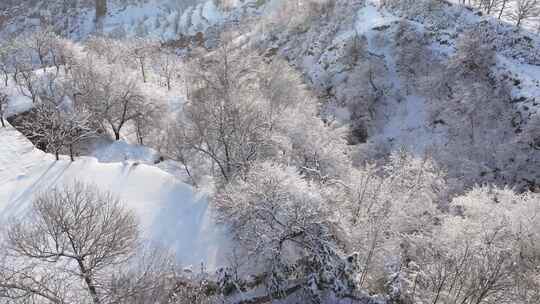 冬季雪景山林俯瞰