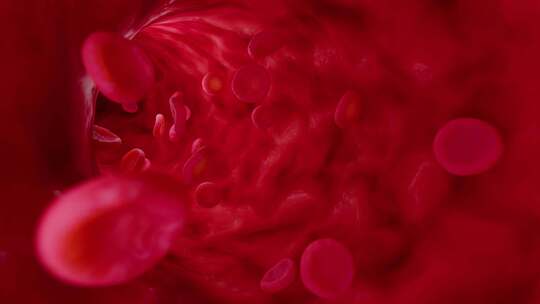 血细胞在人体中的随机模拟