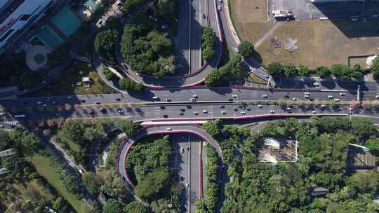 广州三角梅盛开的道路立交航拍