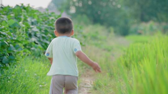 农村儿童在田埂上奔跑