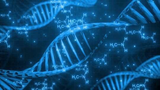DNA细胞喝基因链人体工程学视频素材模板下载