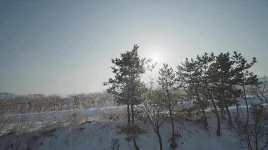 威海冬天雪景行驶的高铁火车上空镜火车窗外