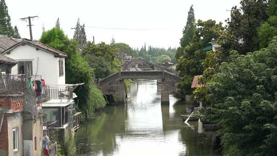 生态河道 河道保护 生态河道治理视频素材模板下载