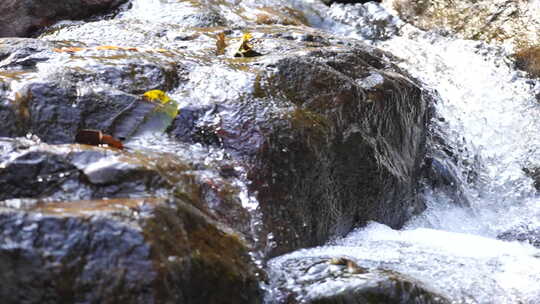 清澈的山涧溪水视频素材模板下载
