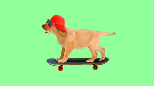 可爱小狗滑滑板合成素材
