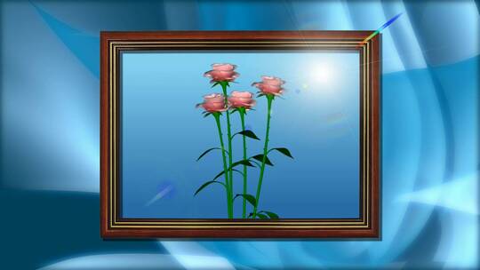 框架中的花朵视频素材模板下载