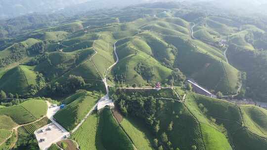 航拍视角恩施鹤峰茶山