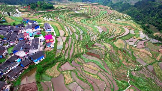 4k航拍贵州黔东南丹寨高要梯田景区 1