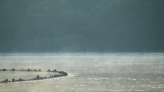 杭州西湖风景区风景