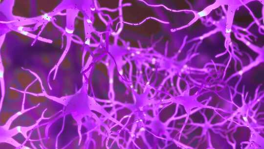 神经元细胞的动画。