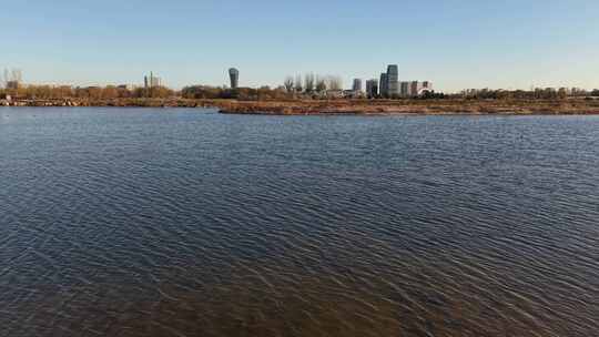 湿地保护区鸟石家庄滹沱河湿地初冬