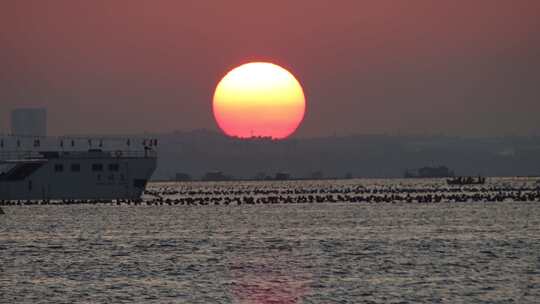 山东省荣成市宁津街道东楮岛渔码头夕阳落日