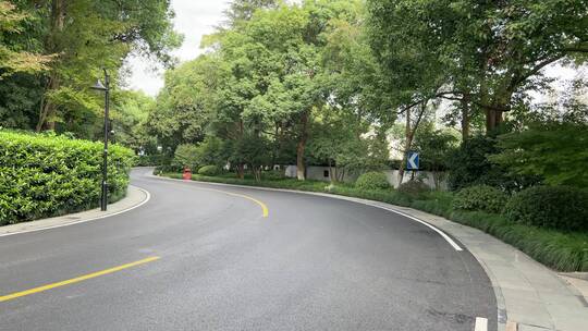 4k 森林公路交通运输