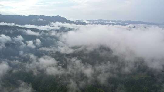 大雾清晨云雾大山云海森林自然云山脉山区