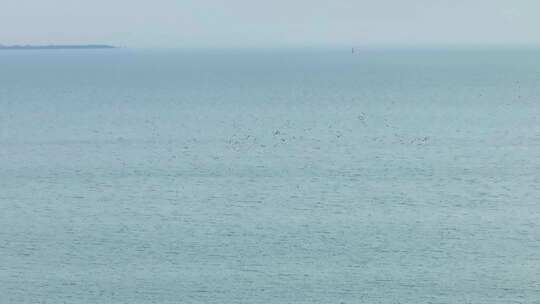 航拍湖边鸟群飞行群鸟日落波纹海面浮标