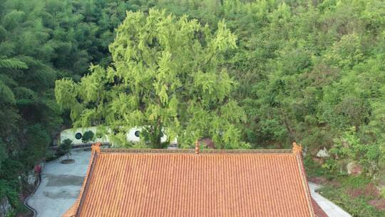 南岳衡山佛教圣地寺庙航拍-宇石禅寺