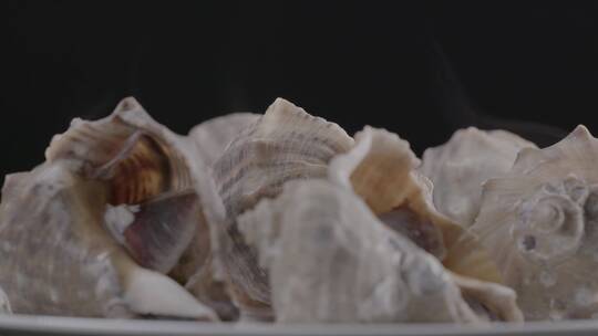 海螺海螺肉LOG视频素材