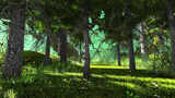 碧绿的森林高清在线视频素材下载