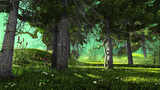 碧绿的森林高清在线视频素材下载