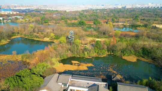 杭州西湖区西溪湿地自然风景视频素材