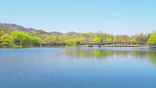 杭州西湖浴鹄湾霁虹桥春天风景