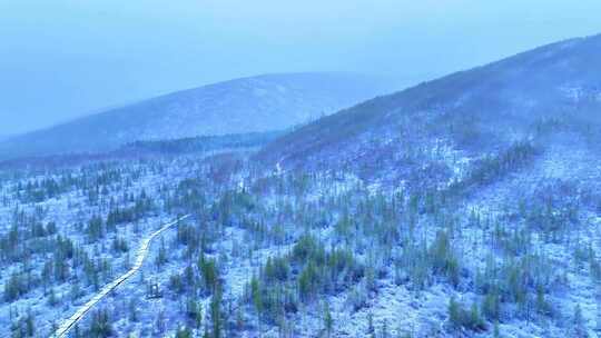 大兴安岭春季山林降雪